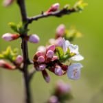 fun88备用官网全方位指南:注册、游戏与优惠活动一网打尽 58k6rikv