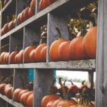 深入分析uedbet官网手机版网扯的优势与用户体验优化策略 cffq69y