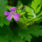 深入探讨王者棋牌官方网站的特色与用户体验优势 ct74sl8mc