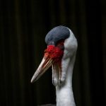 long8cc龙8国际平台:安全可靠的游戏娱乐天地 vph7on