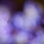 sbf888官网登录平台的优势与用户体验分享 wvswr